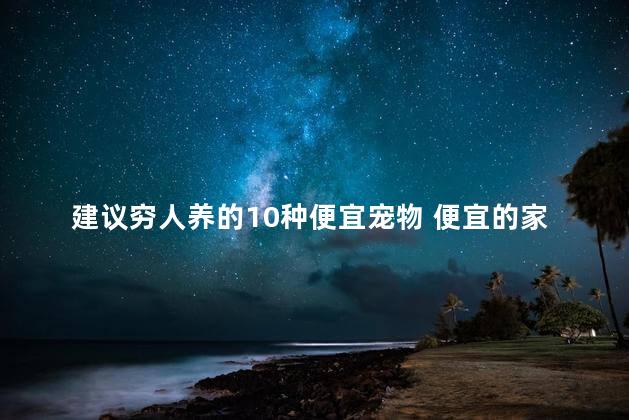 建议穷人养的10种便宜宠物 便宜的家养宠物